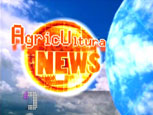 AgricUltura News, va in onda la Pac